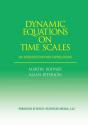 Dynamic Equations On Time Scales - Preview