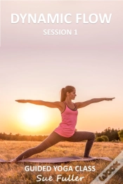 Capa do artigo Dynamic Flow Session 1