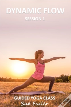 Capa do artigo Dynamic Flow Session 1