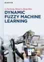 Dynamic Fuzzy Machine Learning - Preview