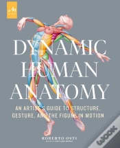 Capa do artigo Dynamic Human Anatomy