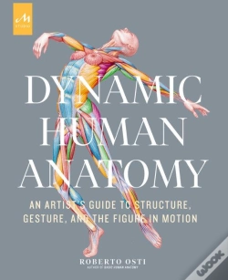 Capa do artigo Dynamic Human Anatomy