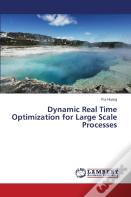 Dynamic Real Time Optimization For Large Scale Processes