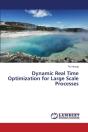 Dynamic Real Time Optimization For Large Scale Processes - Preview