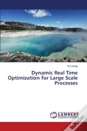 Capa do artigo Dynamic Real Time Optimization For Large Scale Processes