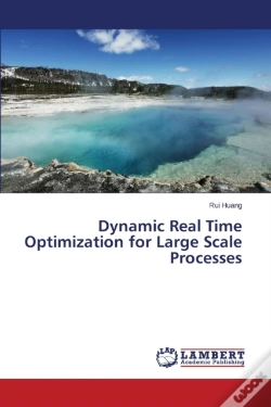 Capa do artigo Dynamic Real Time Optimization For Large Scale Processes