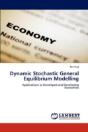 Dynamic Stochastic General Equilibrium Modelling - Preview