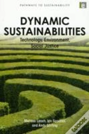 Capa do artigo Dynamic Sustainabilities