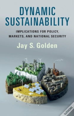 Capa do artigo Dynamic Sustainability