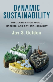 Capa do artigo Dynamic Sustainability