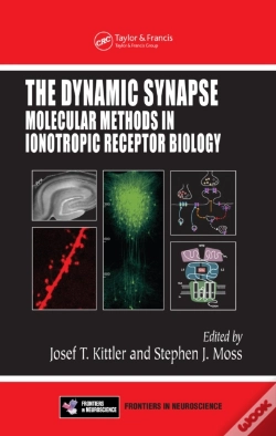 Capa do artigo Dynamic Synapse