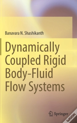 Capa do artigo Dynamically Coupled Rigid Body-Fluid Flow Systems