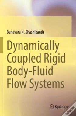 Capa do artigo Dynamically Coupled Rigid Body-Fluid Flow Systems