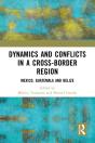 Dynamics And Conflicts In A Cross-Border Region - Preview
