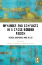 Dynamics And Conflicts In A Cross-Border Region - Preview