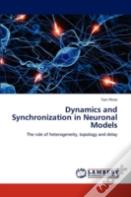 Dynamics And Synchronization In Neuronal Models