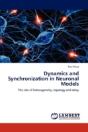 Dynamics And Synchronization In Neuronal Models - Preview