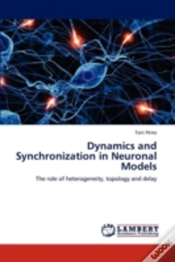 Capa do artigo Dynamics And Synchronization In Neuronal Models