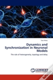 Capa do artigo Dynamics And Synchronization In Neuronal Models