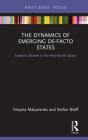 Dynamics Of Emerging De-Facto States - Preview