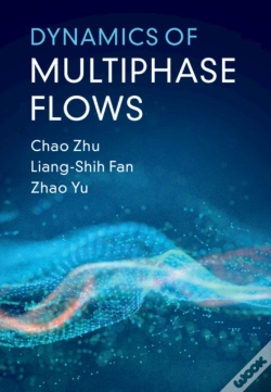 Capa do artigo Dynamics Of Multiphase Flows
