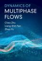 Dynamics Of Multiphase Flows - Preview