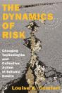 Dynamics Of Risk - Preview