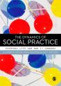 Dynamics Of Social Practice - Preview