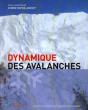 Dynamique Des Avalanches - Preview