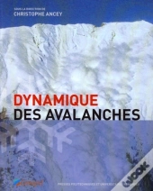 Dynamique Des Avalanches