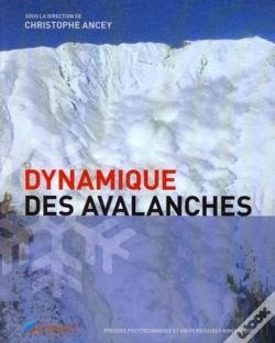 Capa do artigo Dynamique Des Avalanches