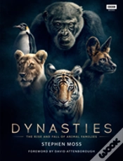 Capa do artigo Dynasties