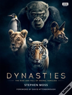 Capa do artigo Dynasties