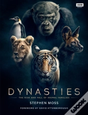 Capa do artigo Dynasties