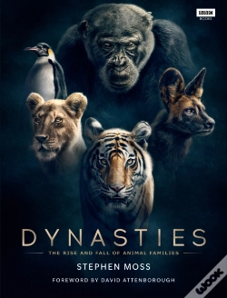 Capa do artigo Dynasties