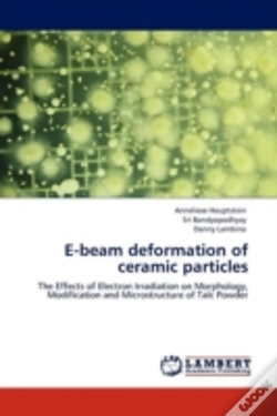Capa do artigo E-Beam Deformation Of Ceramic Particles