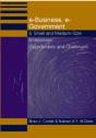 E-Business, E-Government & Small And Medium-Size Enterprises - Preview