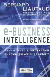 Capa do artigo E-Business Intelligence