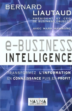 Capa do artigo E-Business Intelligence