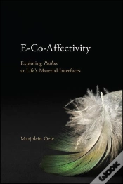 Capa do artigo E-Co-Affectivity