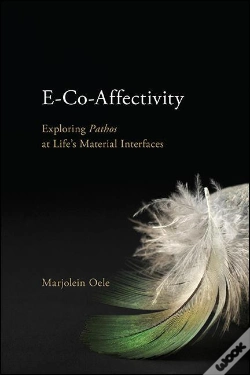 Capa do artigo E-Co-Affectivity