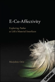 Capa do artigo E-Co-Affectivity