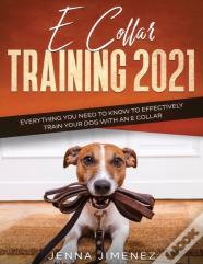 E Collar Training 2021