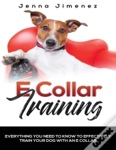 E Collar Training: Everything You Need T