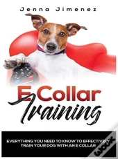 E Collar Training: Everything You Need T