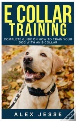 Capa do artigo E Collar Training