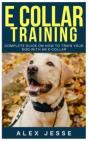 E Collar Training - Preview