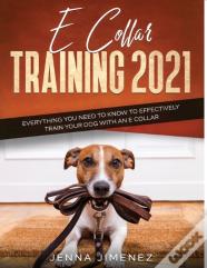 E Collar Training2021
