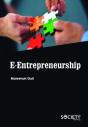 E-Entrepreneurship - Preview