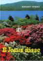 E Jesus Disse - Preview